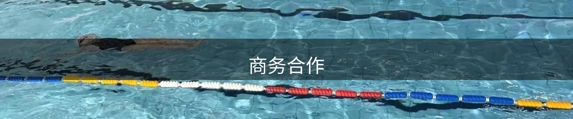 商务合作