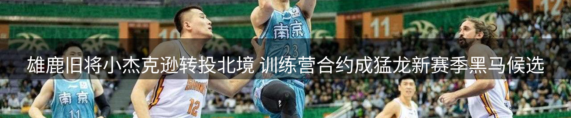 品牌资讯